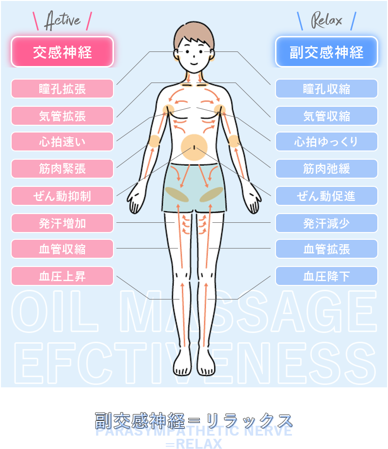 副交感神経＝リラックス